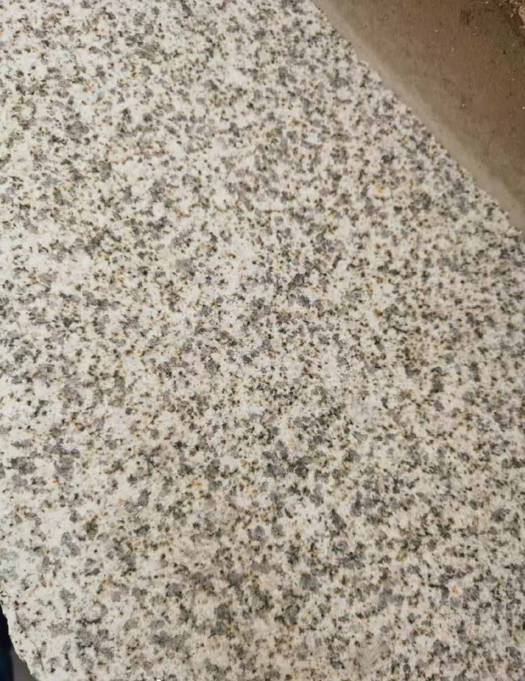 贵阳 黄金麻中黄光面