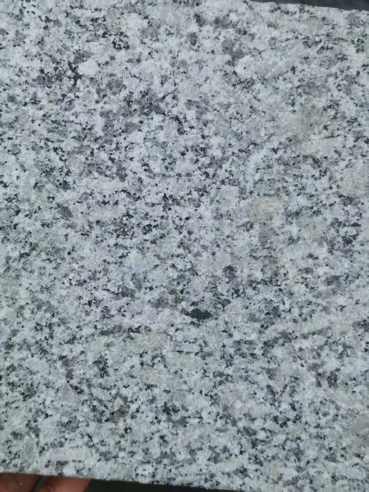 贵阳 芙蓉白火烧面